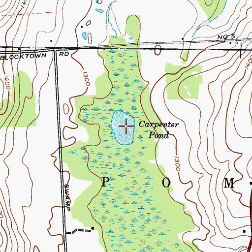 Topographic Map of Carpenter Pond, NY