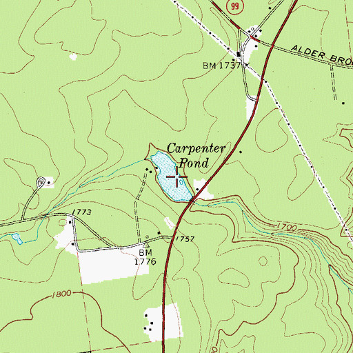 Topographic Map of Carpenter Pond, NY