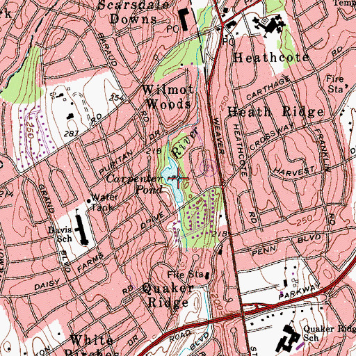 Topographic Map of Carpenter Pond, NY