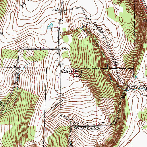 Topographic Map of Carr Hill, NY