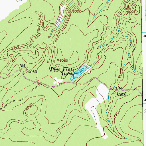 Topographic Map of Pine Flat Tank, AZ