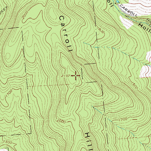 Topographic Map of Carroll Hill, NY