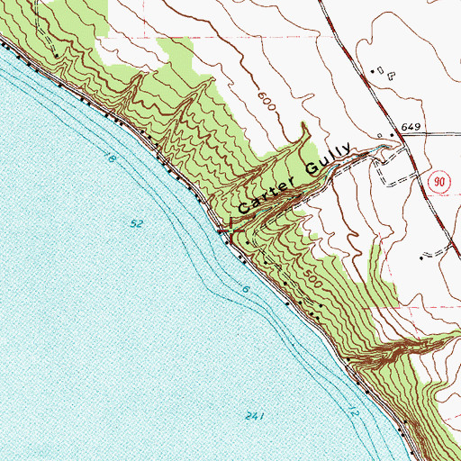 Topographic Map of Carter Gully, NY
