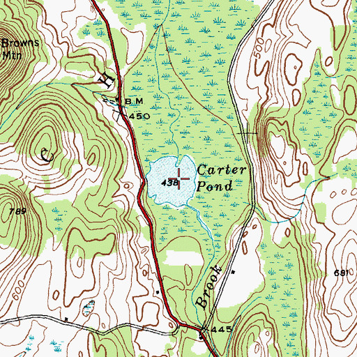Topographic Map of Carter Pond, NY