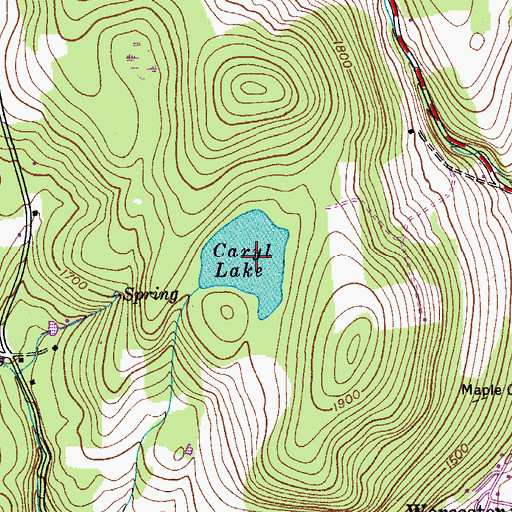 Topographic Map of Caryl Lake, NY