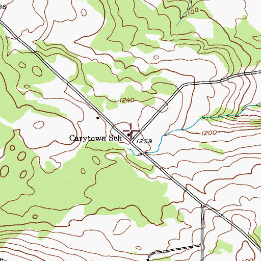 Topographic Map of Carytown School, NY