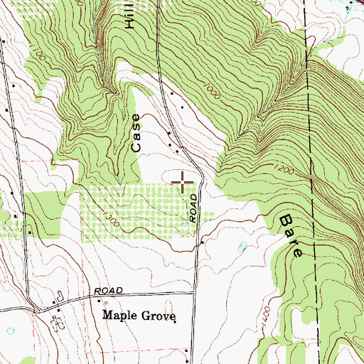 Topographic Map of Case Hill, NY