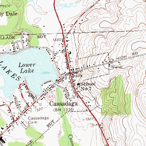 Topographic Map of Cassadaga, NY
