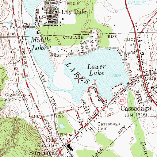 Topographic Map of Cassadaga Lakes, NY