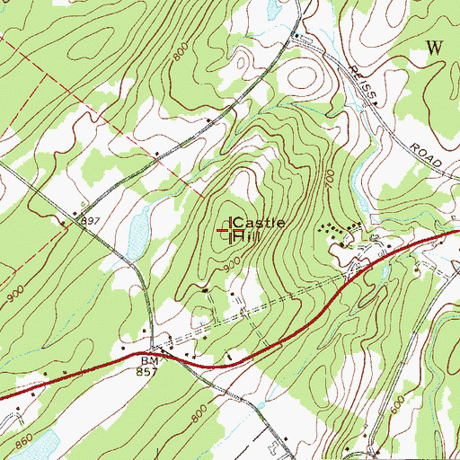 Topographic Map of Castle Hill, NY