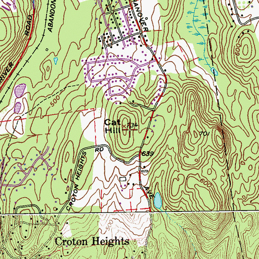 Topographic Map of Cat Hill, NY