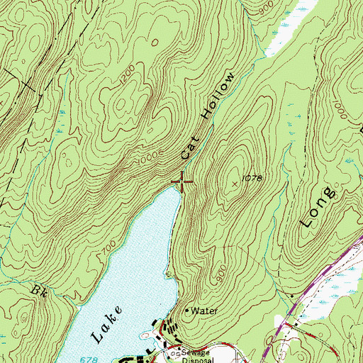 Topographic Map of Cat Hollow, NY