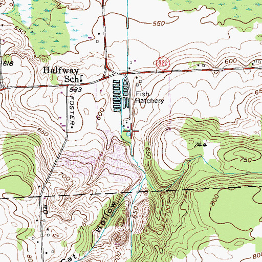 Topographic Map of Cat Hollow, NY