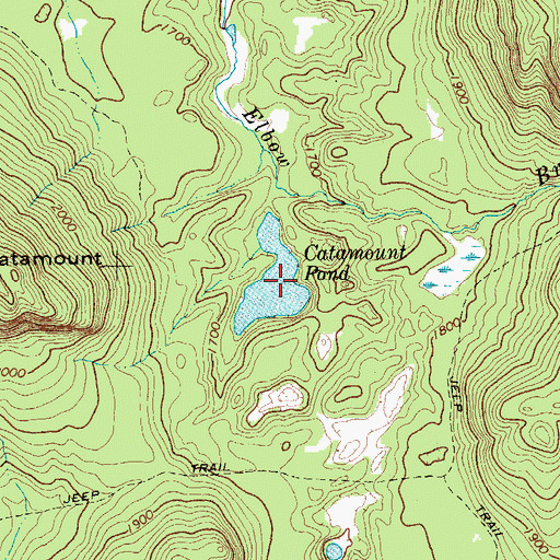 Topographic Map of Catamount Pond, NY