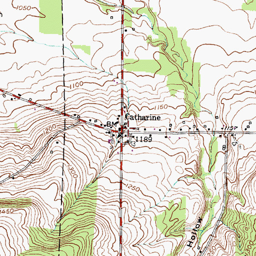 Topographic Map of Catharine, NY