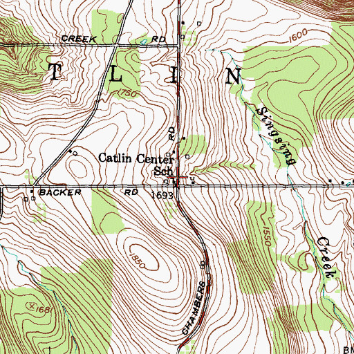 Topographic Map of Catlin Center School, NY