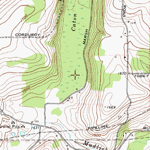 Topographic Map of Caton Swamp, NY