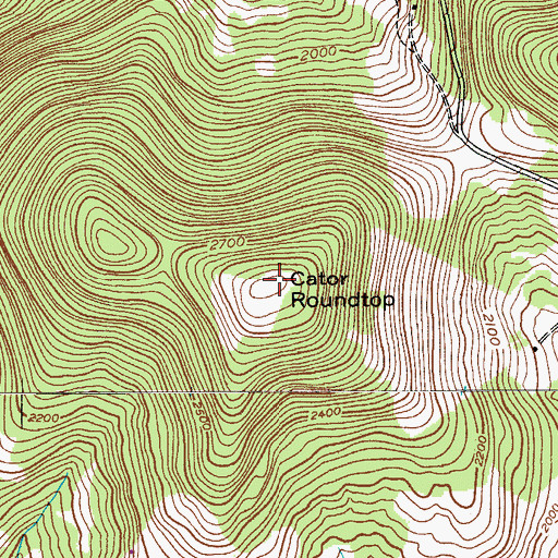 Topographic Map of Cator Roundtop, NY