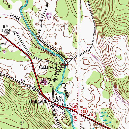 Topographic Map of Cattown, NY