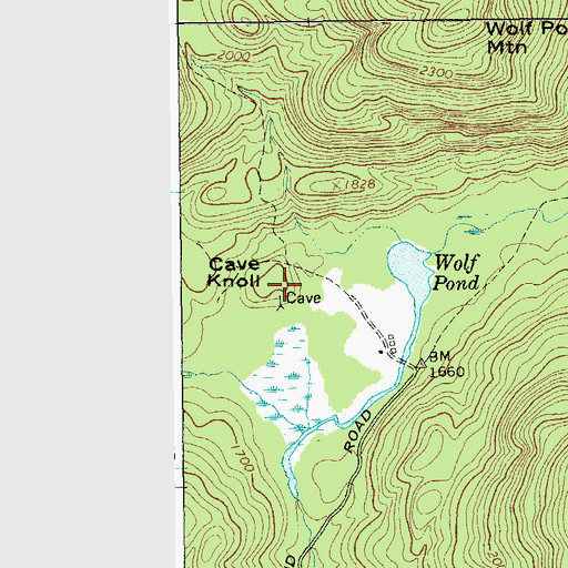 Topographic Map of Cave Knoll, NY