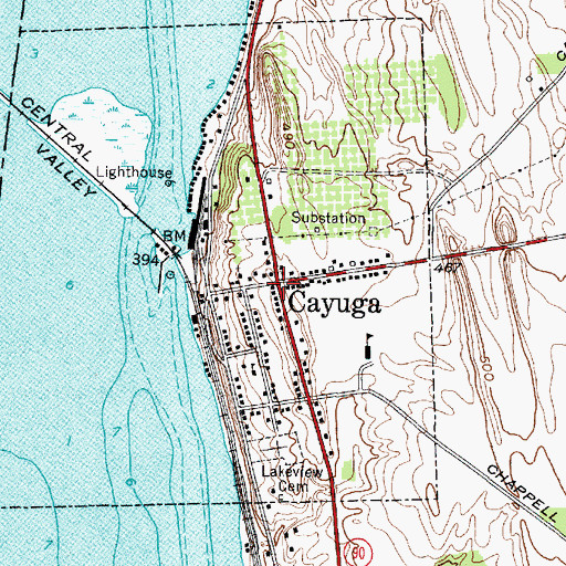 Topographic Map of Cayuga, NY