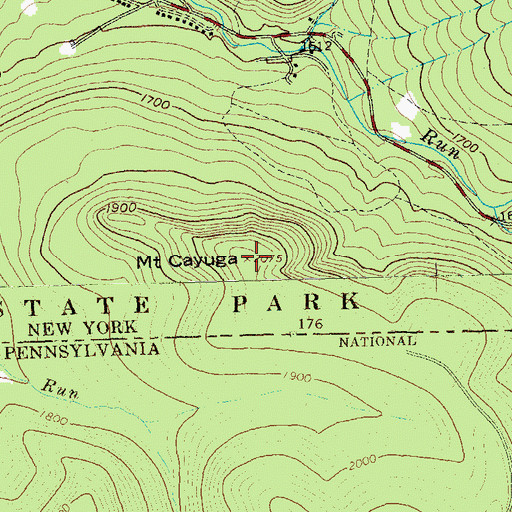 Topographic Map of Mount Cayuga, NY