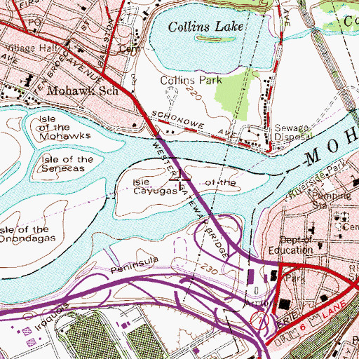 Topographic Map of Isle of the Cayugas, NY