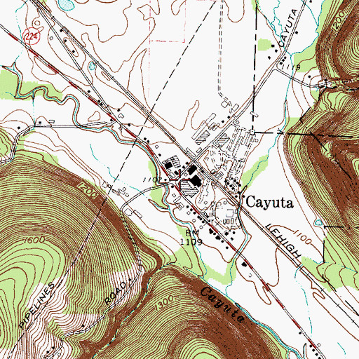 Topographic Map of Cayuta, NY