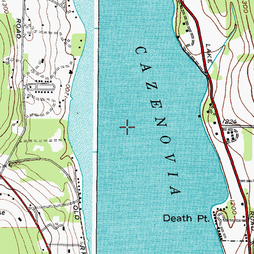 Topographic Map of Cazenovia Lake, NY
