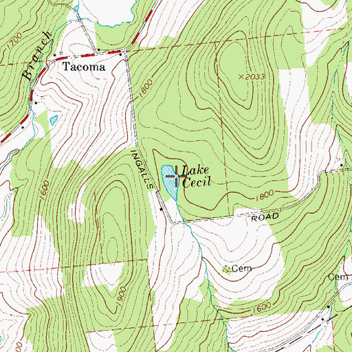 Topographic Map of Lake Cecil, NY
