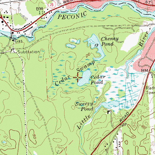 Topographic Map of Cedar Swamp, NY