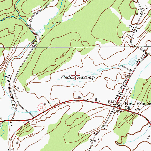 Topographic Map of Cedar Swamp, NY