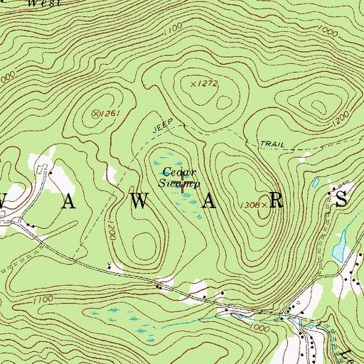 Topographic Map of Cedar Swamp, NY