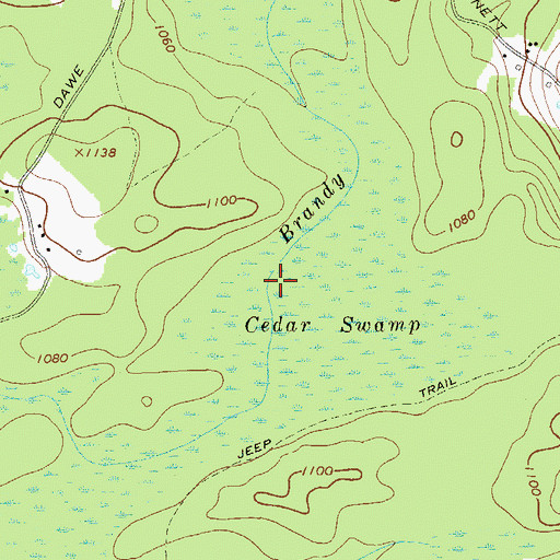 Topographic Map of Cedar Swamp, NY