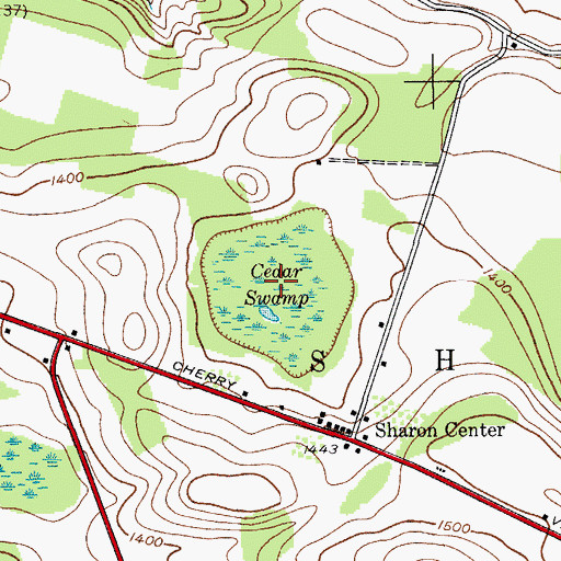 Topographic Map of Cedar Swamp, NY