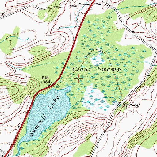 Topographic Map of Cedar Swamp, NY