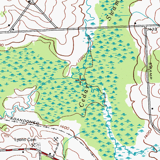 Topographic Map of Cedar Swamp, NY
