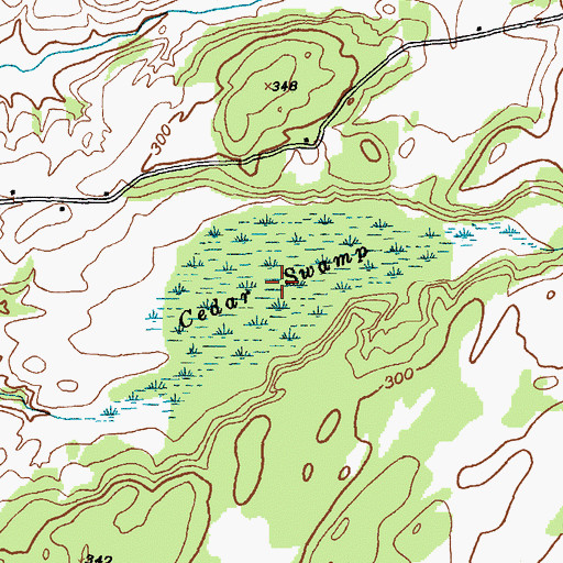 Topographic Map of Cedar Swamp, NY
