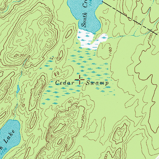 Topographic Map of Cedar Swamp, NY