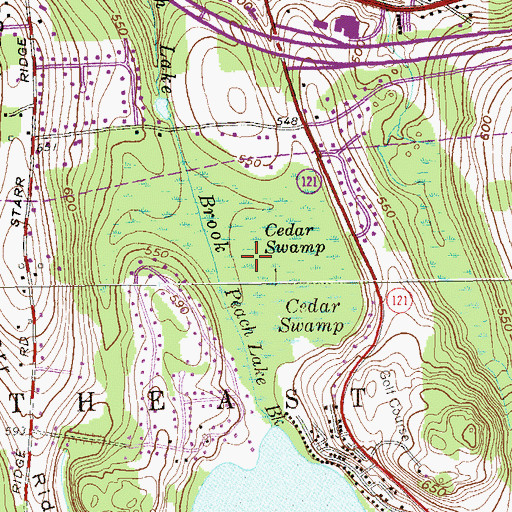 Topographic Map of Cedar Swamp, NY