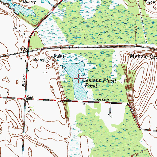 Topographic Map of Cement Plant Pond, NY