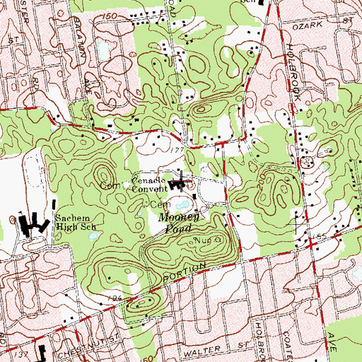 Topographic Map of Cenacle Convent, NY