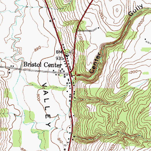 Topographic Map of Center Gully, NY