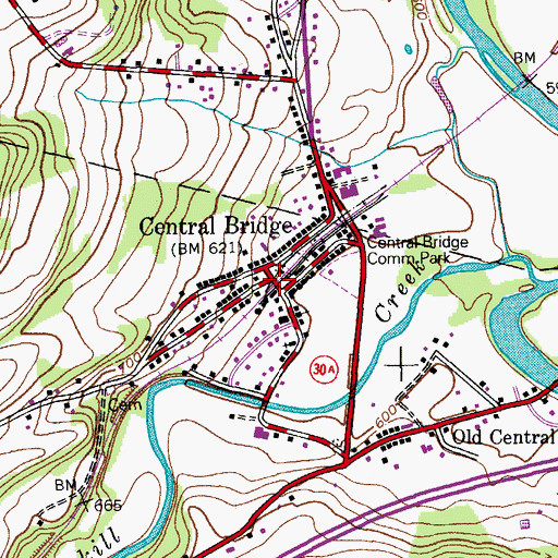 Topographic Map of Central Bridge, NY