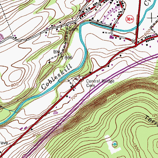 Topographic Map of Central Bridge Cemetery, NY