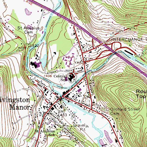 Topographic Map of Livingston Manor Elementary School, NY