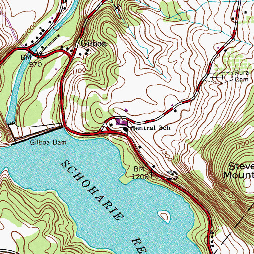 Topographic Map of Central School, NY