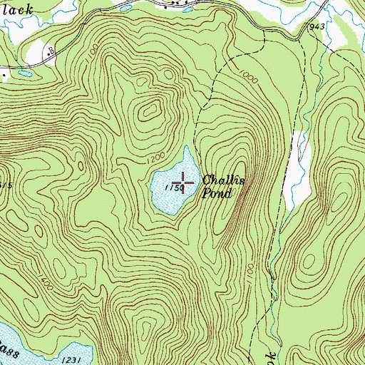Topographic Map of Challis Pond, NY