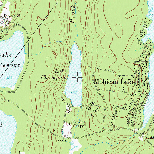 Topographic Map of Lake Champion, NY