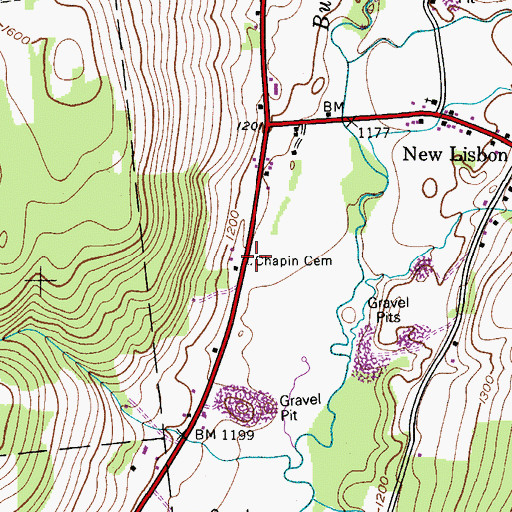 Topographic Map of Chapin Cemetery, NY